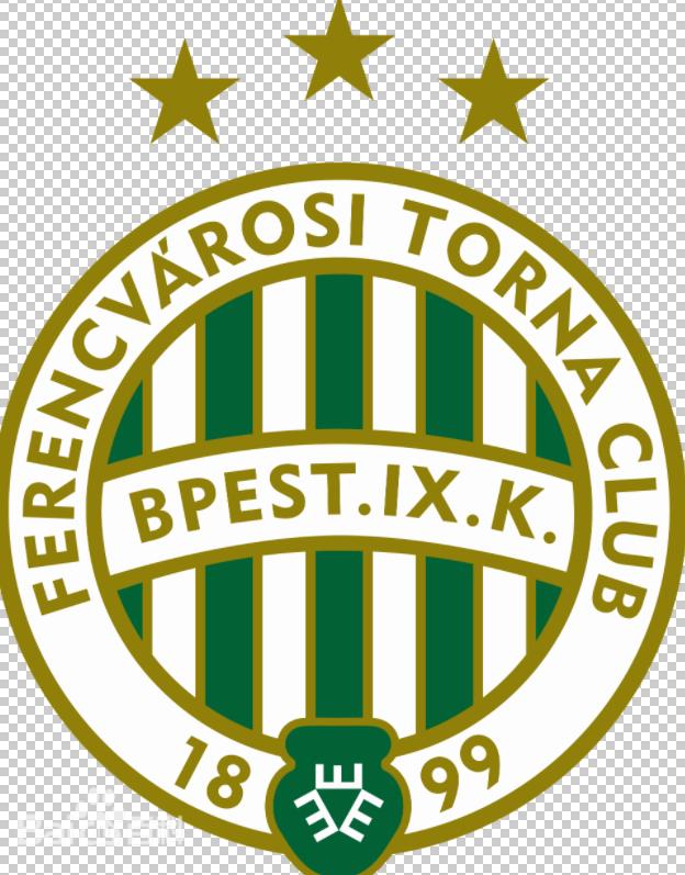 匈牙利足球欧洲杯,欧洲杯之克罗地亚