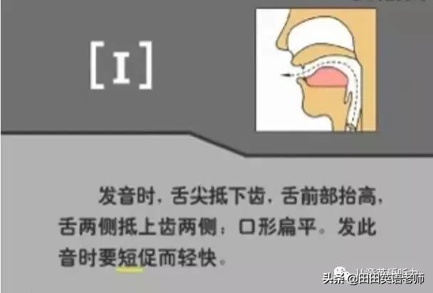 基础英语48个国际音标详解，赶紧来学习！