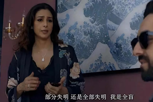 调琴师印度电影解析,印度电影调音师电影解说