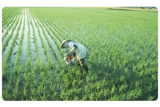 贝斯美辅食油,贝因美辅食怎么样