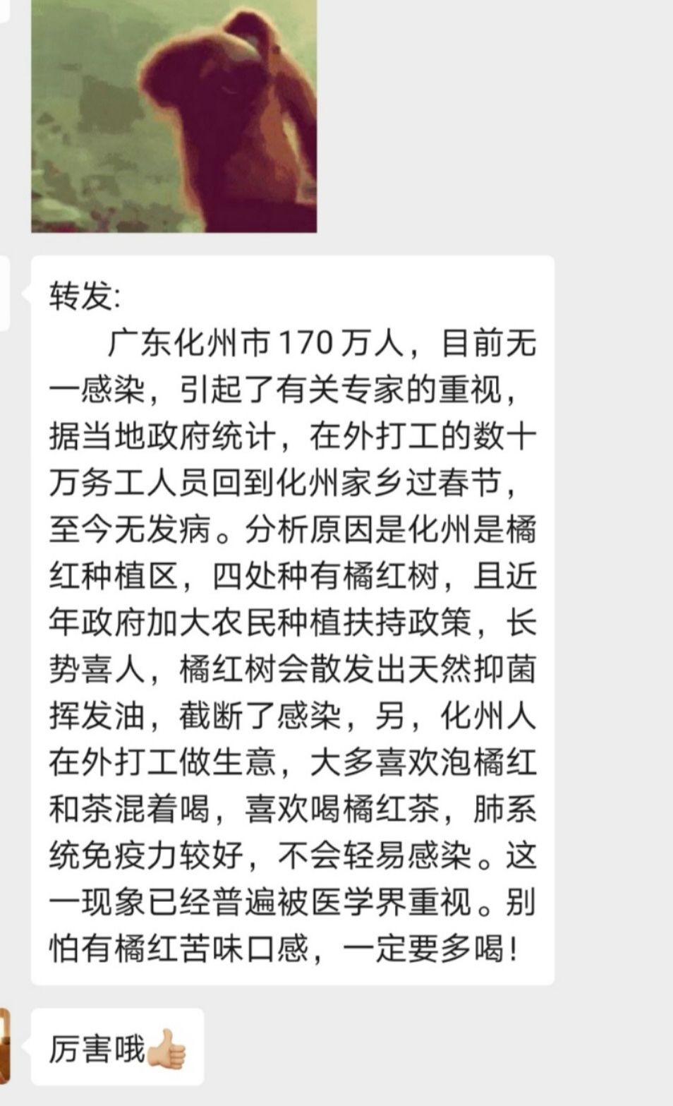 我们是怎样度过人生的,你怎么度过疫情就怎么度过一生