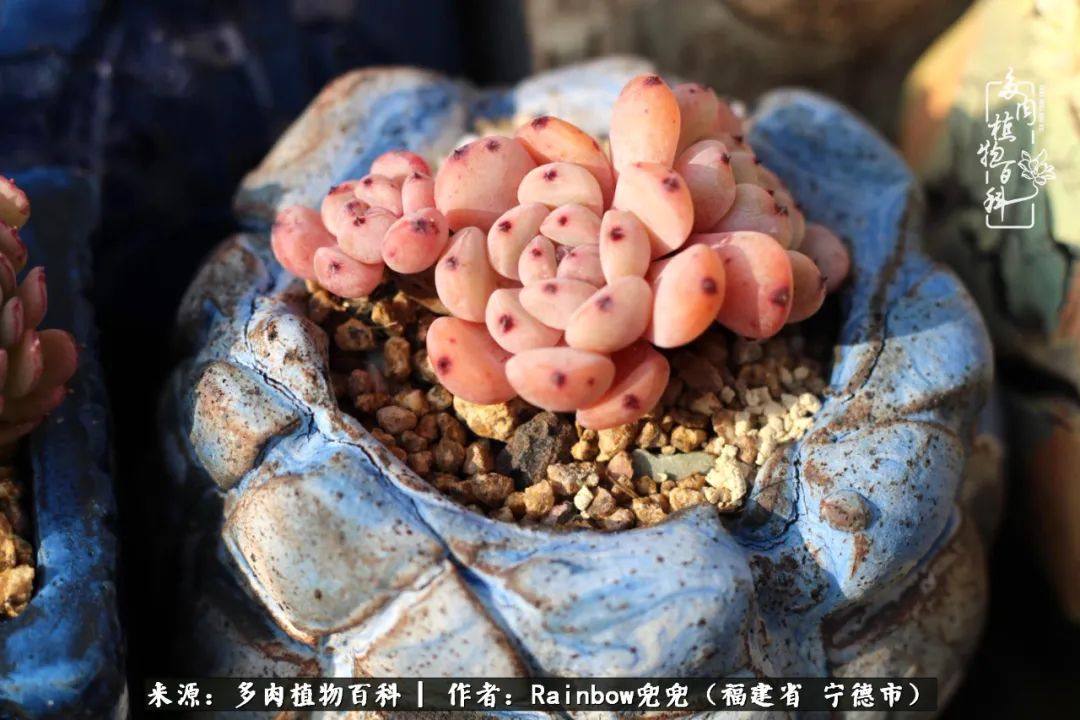 岁月无波澜余生不悲欢是啥意思,愿你岁月无波澜敬我余生无悲欢