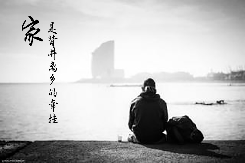 此心安处是吾家免费观看,此心安处是吾家是什么意思