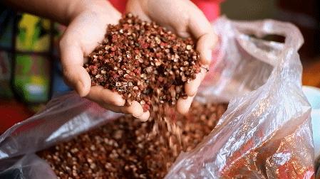 瓦烤炉烤肉,瓦缸烧烤炉烤鸡