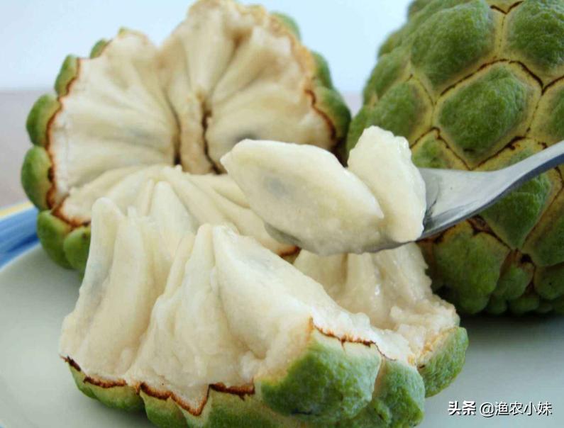 越南十大水果排行,越南所有水果品种