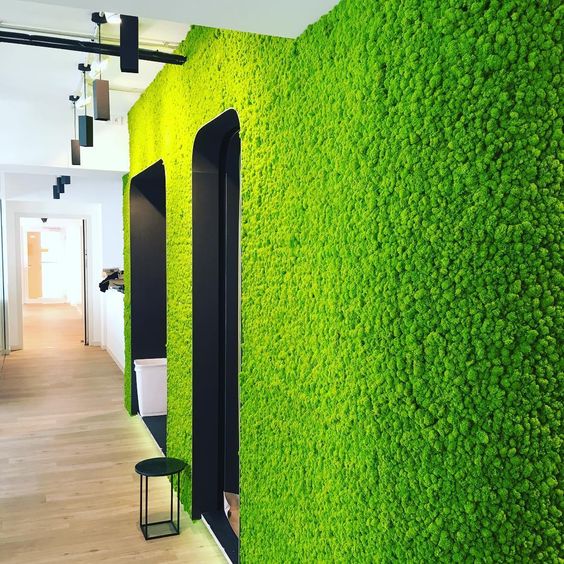 国潮风格墙纸,欧洲风格墙面壁纸深色