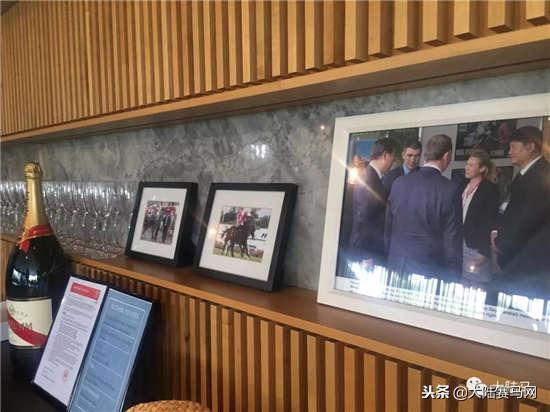“感受到主人的感觉！”莱德马业中国马主团畅谈新西兰拍卖会