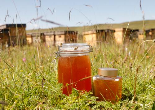 吃蜂蜜能有哪些好处和坏处,长期吃蜂蜜有什么好处和坏处