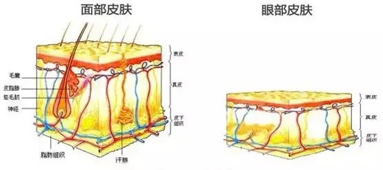 专家说痔疮膏治黑眼圈,网络流行的痔疮膏去黑眼圈