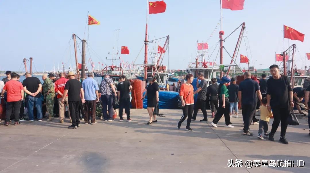 秦皇岛买海鲜去哪里?去码头便宜又新鲜,渔民:船靠岸就被抢光