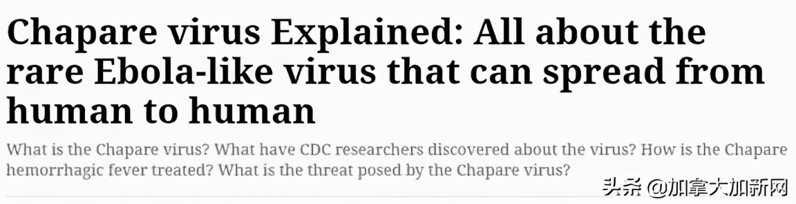 南美洲最近新型病毒,新冠疫情南美死亡多少人