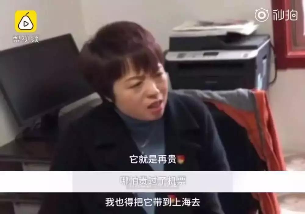 父母看儿子带了100个包子！留学生笑而不语：你是没见过我爸妈……