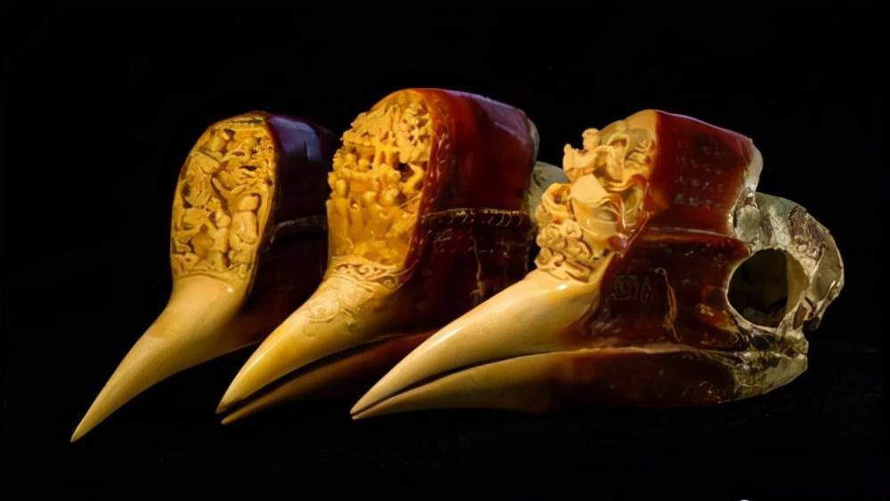 头骨最值钱鸟,头骨很珍贵的鸟