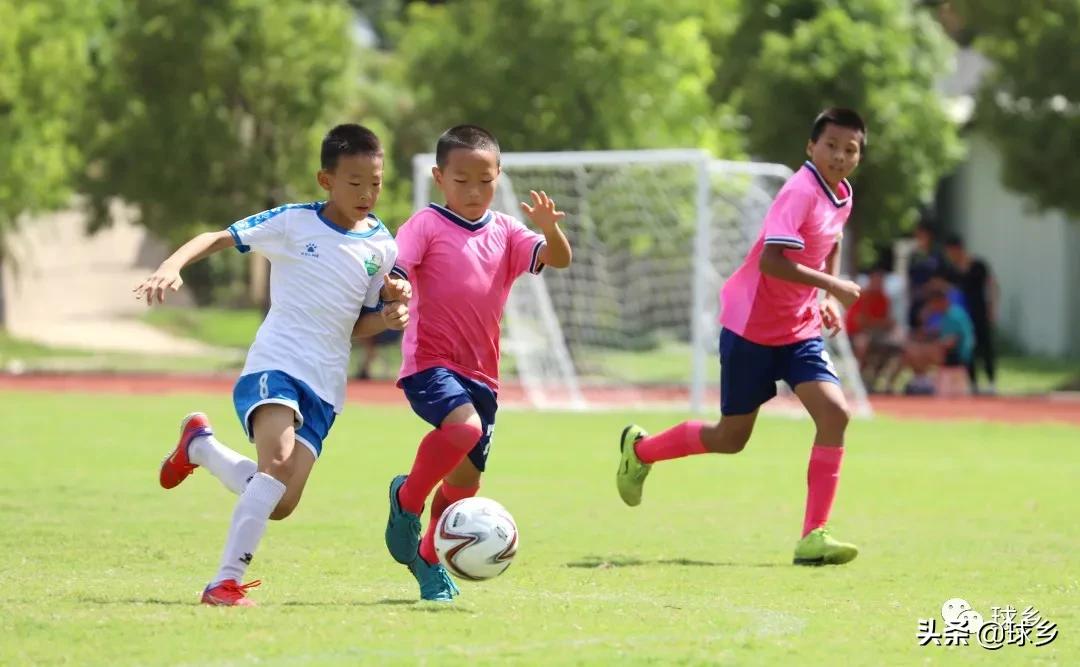 区中小学足球联赛,体教融合杯中学篮球赛