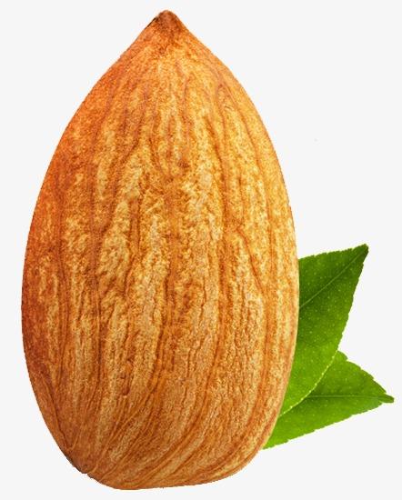 巴旦木是什么果仁,巴旦木是什么做的