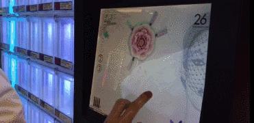 口红机的口红是真是假,口红机里的小样