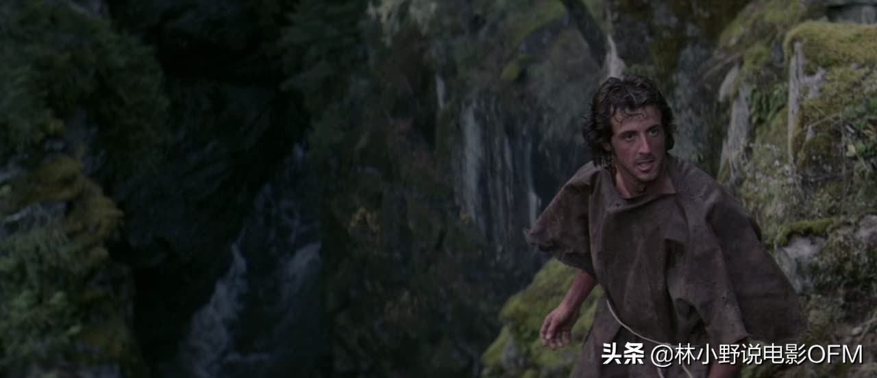 好莱坞动作巨星,强森好莱坞片酬