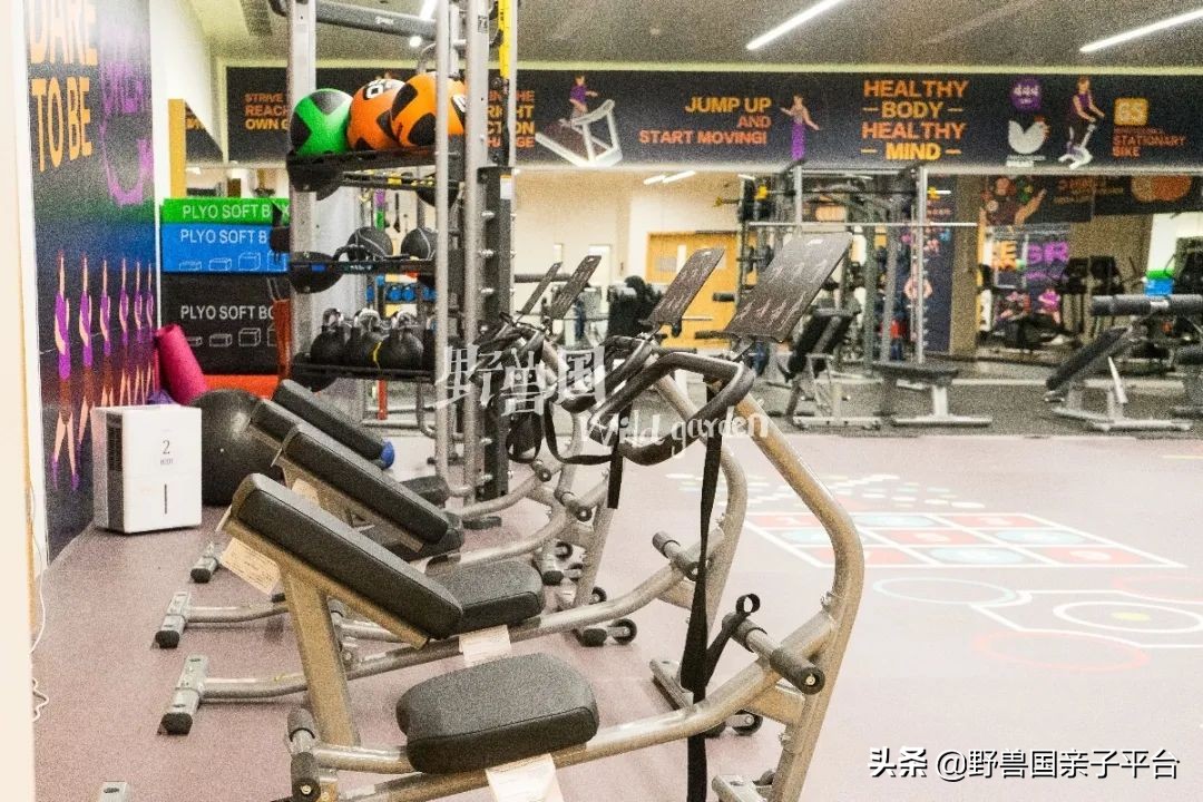 一年20万学费的清澜山学校,都在学些什么?