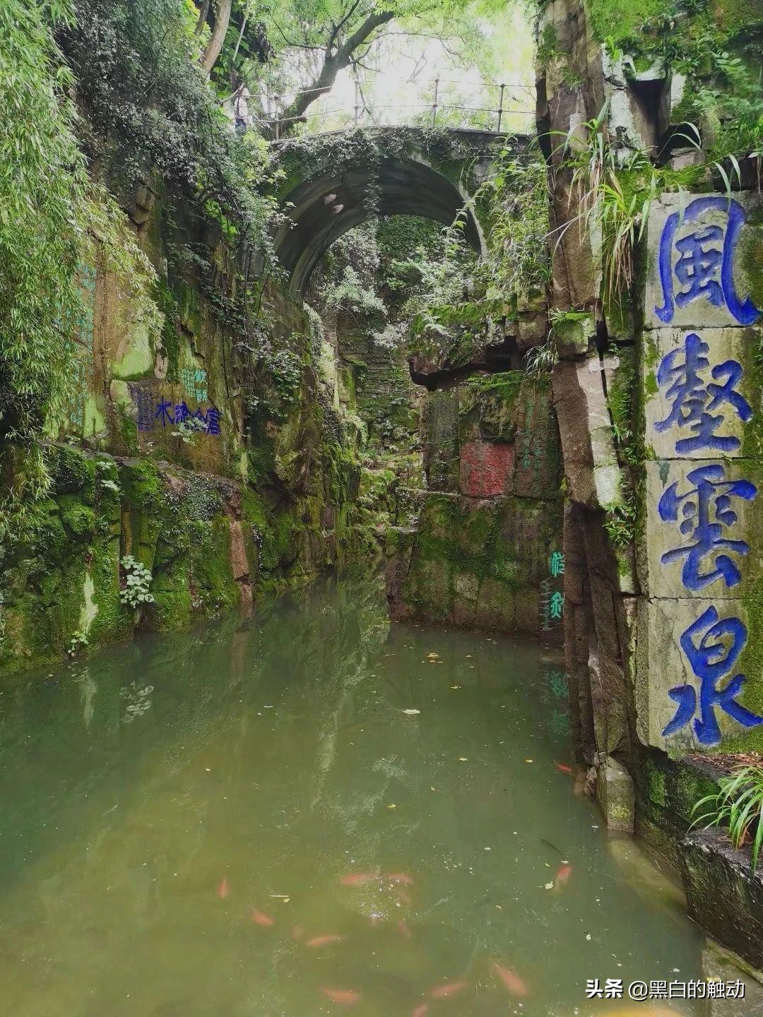 苏州除了拙政园还有哪个园林最好,苏州哪个园林最值得游玩