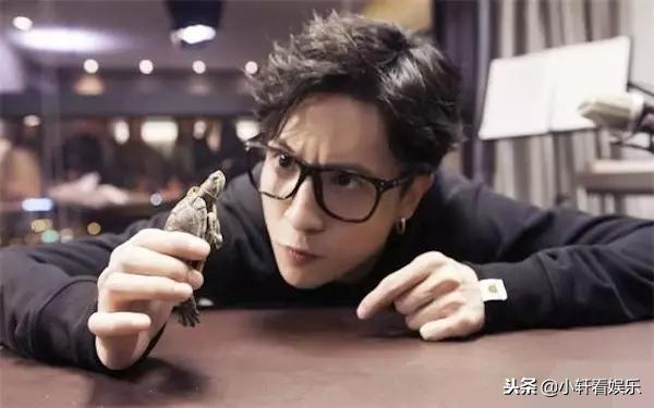 中国第一网红最新名单,中国第一大网红是谁2020