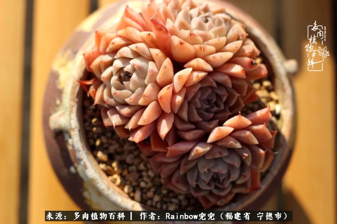 岁月无波澜余生不悲欢是啥意思,愿你岁月无波澜敬我余生无悲欢