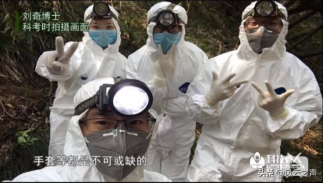 我就是研究蝙蝠的，还被咬过很多次......|躺倒大自然第15期