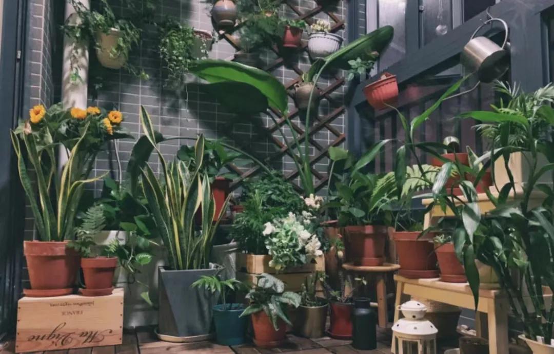 一楼值不值得买,现在新小区的一楼值不值得买