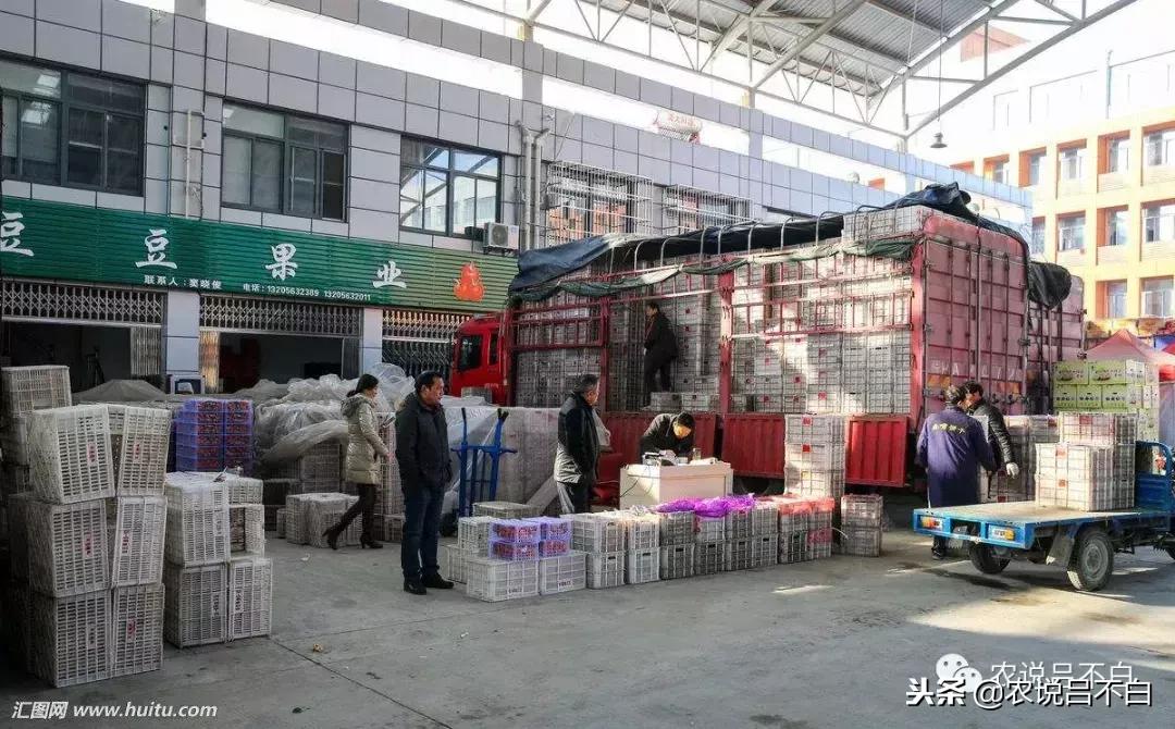 农批市场的现状与发展趋势,农批市场的梦想与理念