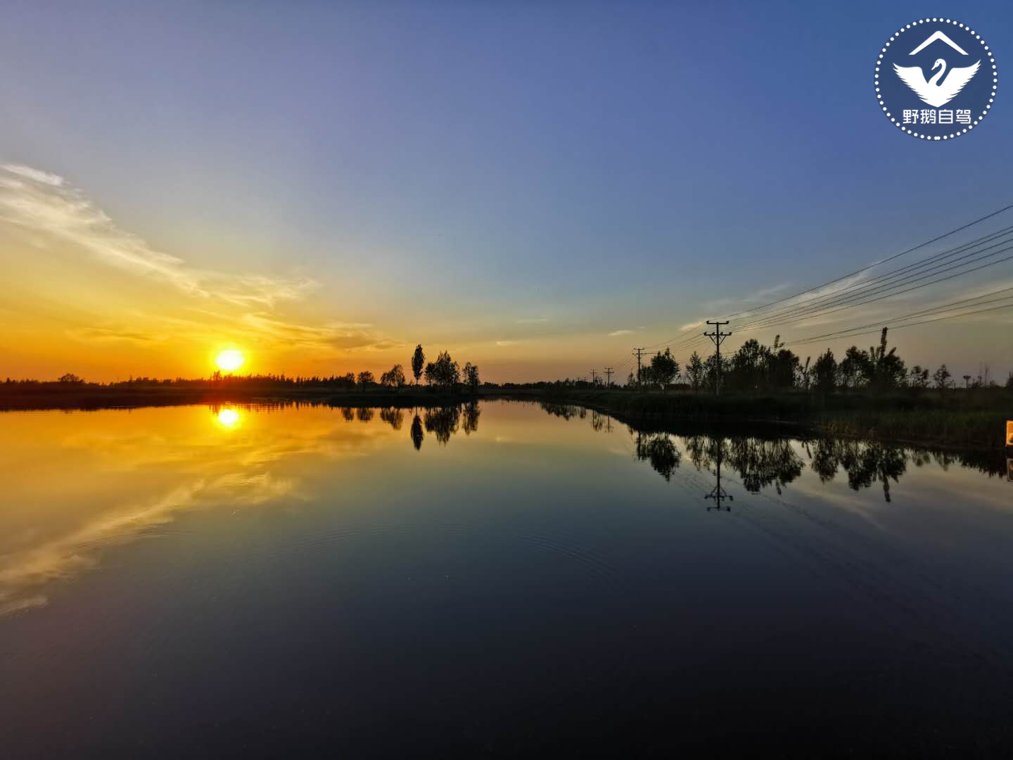 周末带娃自驾白洋淀，下地笼、抓小虾，亲密接触鱼鹰