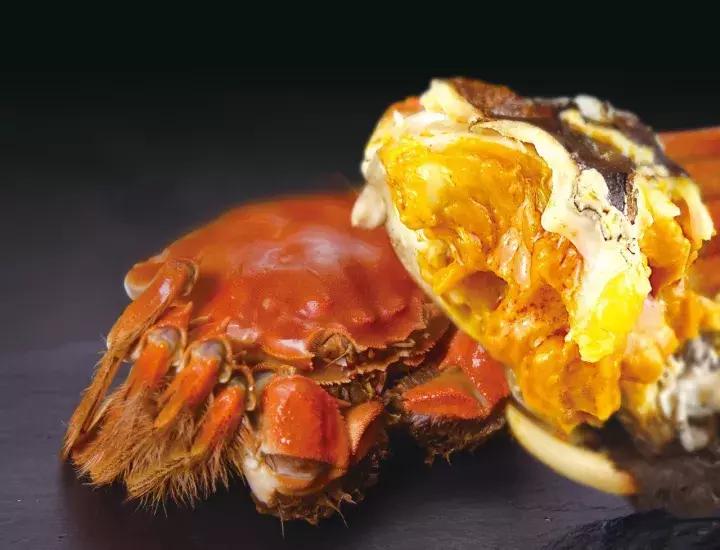 一只坚持四项基本原则的好蟹