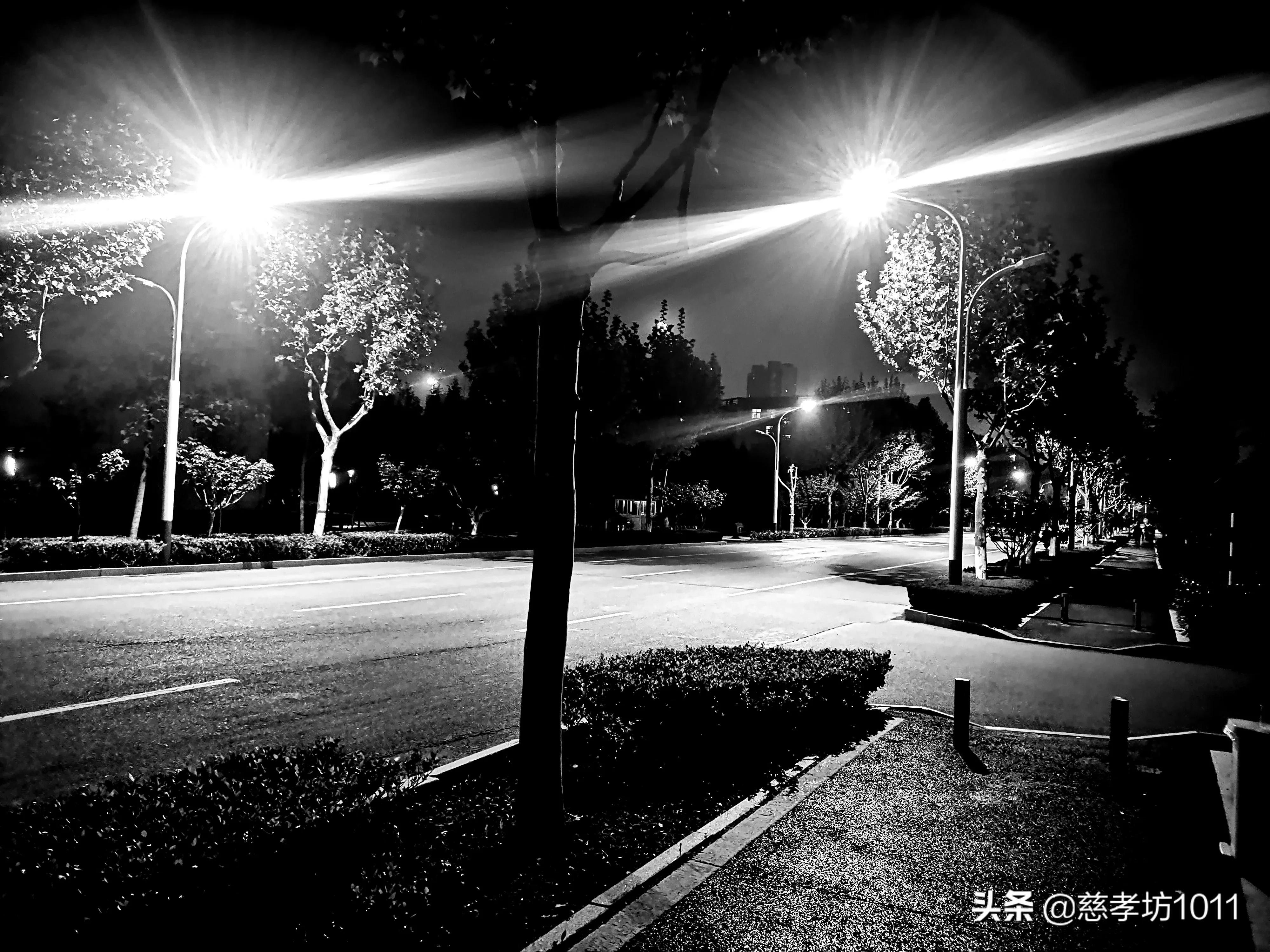 临沂大学校园游览,临沂大学参观感想