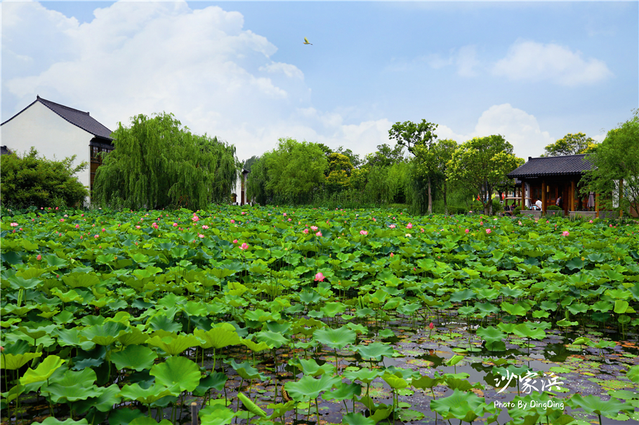 苏州红色革命旅游景点图片,苏州红色革命景点介绍视频