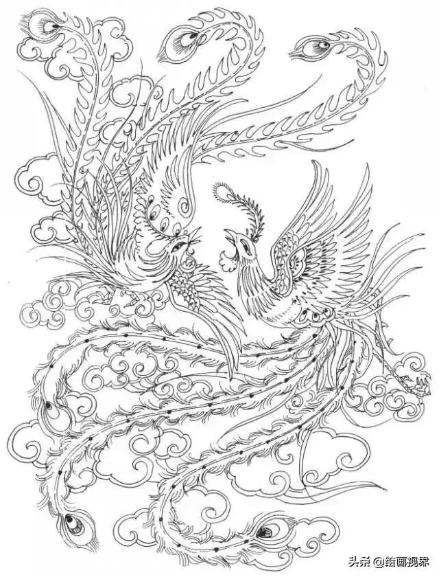 凤凰绘画中国风线稿,凤凰白描线稿特点