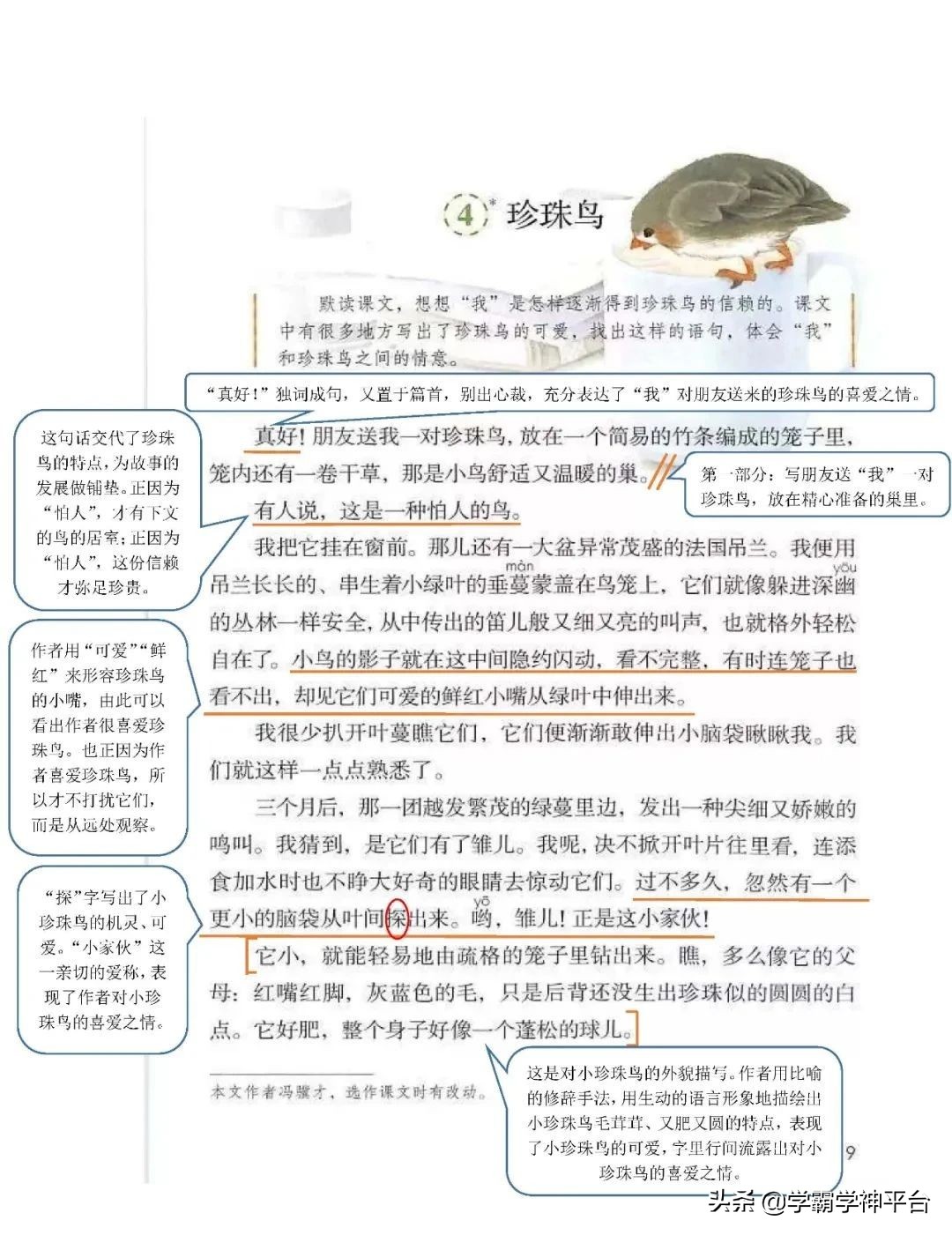 五年级上册语文全册知识点归纳,2021-2022年五年级语文上册人教版