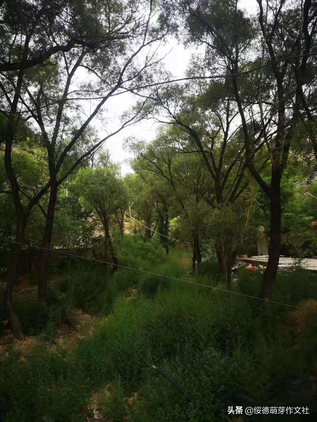 风雨兼程中的郝家桥