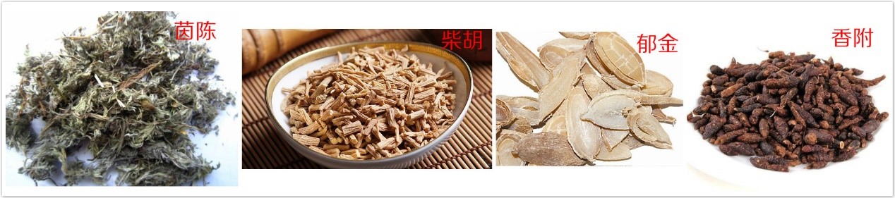 化疗常见副作用防治,化疗副作用中医如何治疗