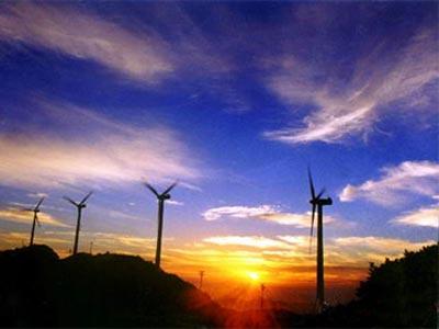 浙江有哪些奇特的景观,浙江有哪些珍稀花草