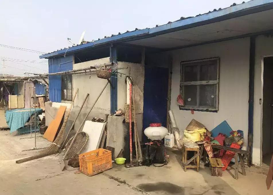 无锡真的还有农民，承包700亩！坚守26年，亲友都跟着他干！