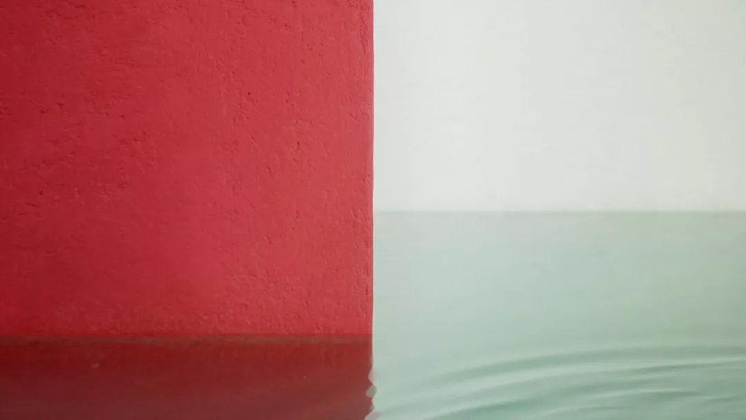 路易斯巴拉干,路易斯巴拉甘名言