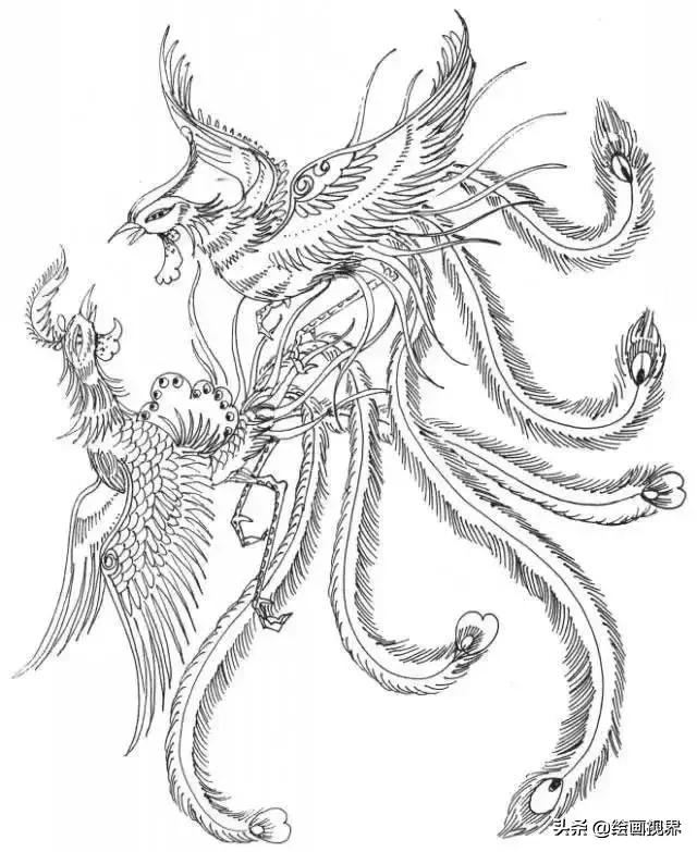 凤凰绘画中国风线稿,凤凰白描线稿特点