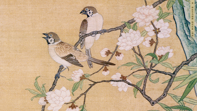 表示聪明又富贵的女宝宝名字,有韵味优美雅致的女宝宝名字大全