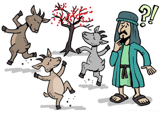 怀孕期能喝咖啡么？生理期能喝咖啡么？