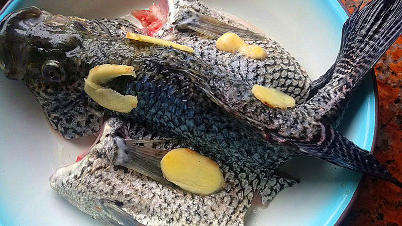 正宗广东清蒸石斑鱼的做法视频,粤菜清蒸石斑鱼家常菜