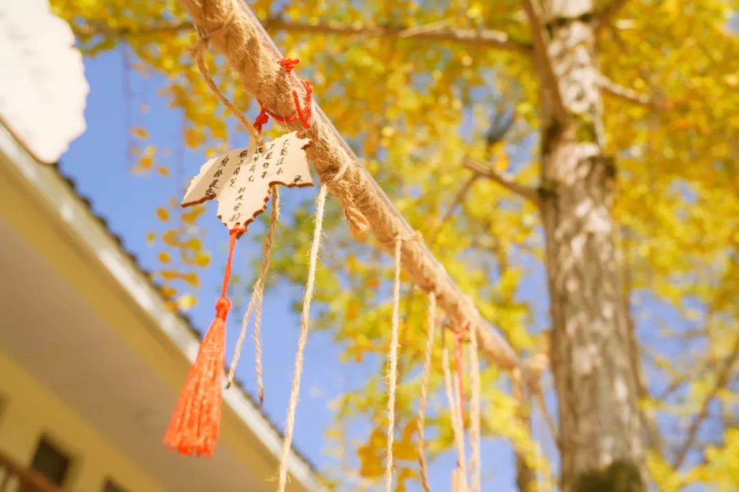 这才是国内34省区的最美天堂!