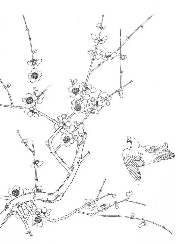 工笔梅花的分染上色教程,工笔梅花的10种设色技法收藏起来