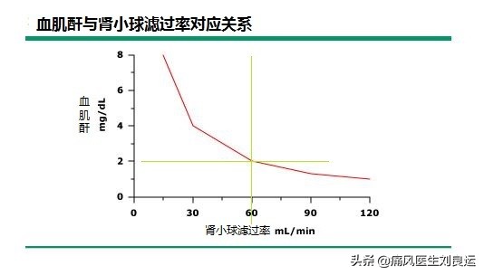 痛风患者肌酐高是肾功能有问题？五种方法降肌酐，五个方面护肾脏