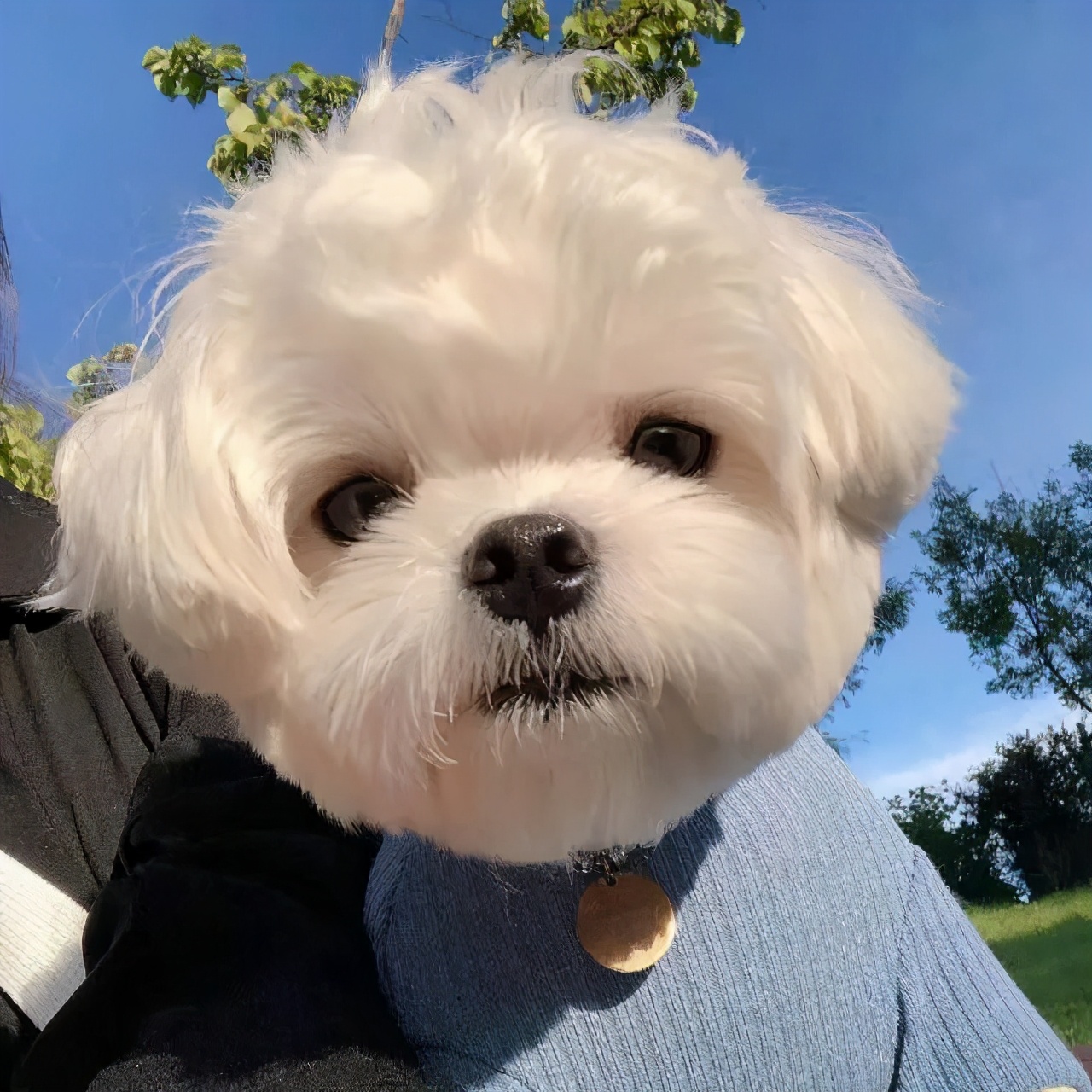 一组超好看的闺蜜头像,一组超好看的闺蜜头像一起来换呀