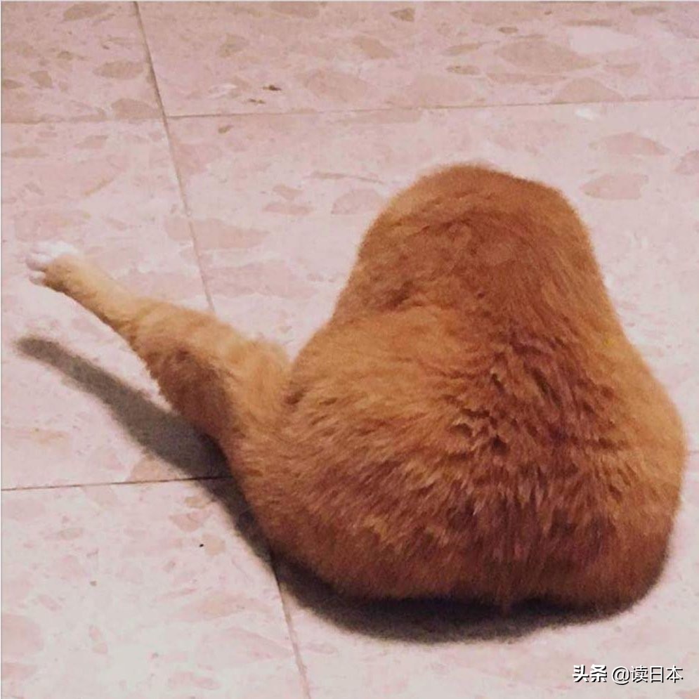 沙雕手办日本小哥,日本沙雕手办小哥