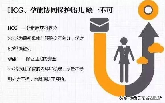 hcg雌二醇孕酮之间的关系,hcg与孕酮雌二醇的关系