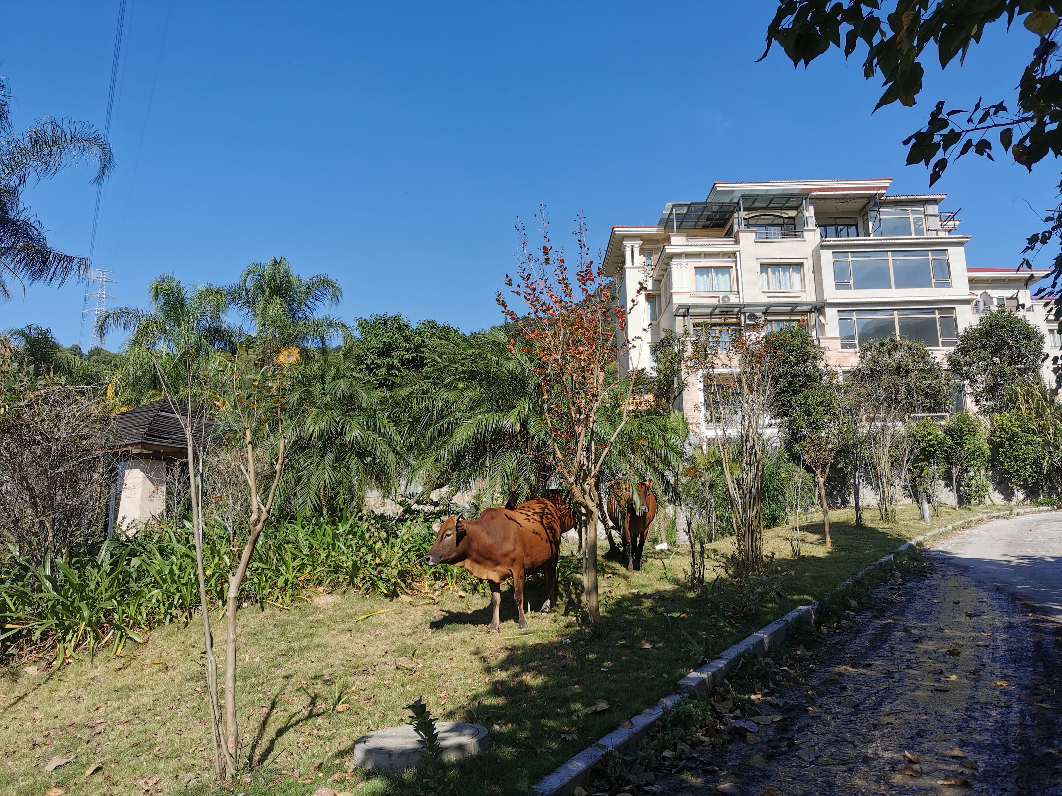 登云水库,登云湖水库